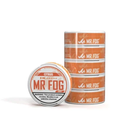 MR FOG NICOTINE POUCHES PACK OF 5